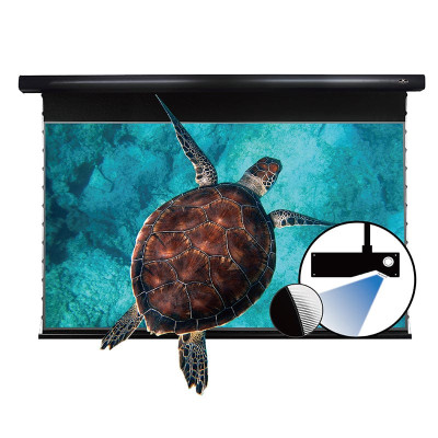 ALR экран для ультракороткофокусного проектора VividStorm PRO A 120" (Black)