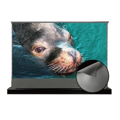 ALR экран для проектора VividStorm S Obsidian Long Throw ALR 100" (Black)
