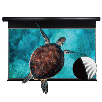 ALR экран для ультракороткофокусного проектора VividStorm PRO, 100" (Black)