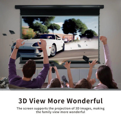 ALR экран для ультракороткофокусного проектора VividStorm PRO, 100" (Black)