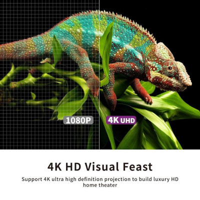 ALR экран для ультракороткофокусного проектора VividStorm PRO, 100" (Black)