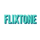 FLIXTONE - изображение № 3