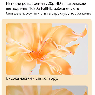 Xiaomi Wanbo Mini Pro