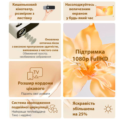 Xiaomi Wanbo Mini Pro