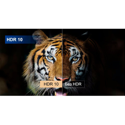 Flixtone D8 (android version)